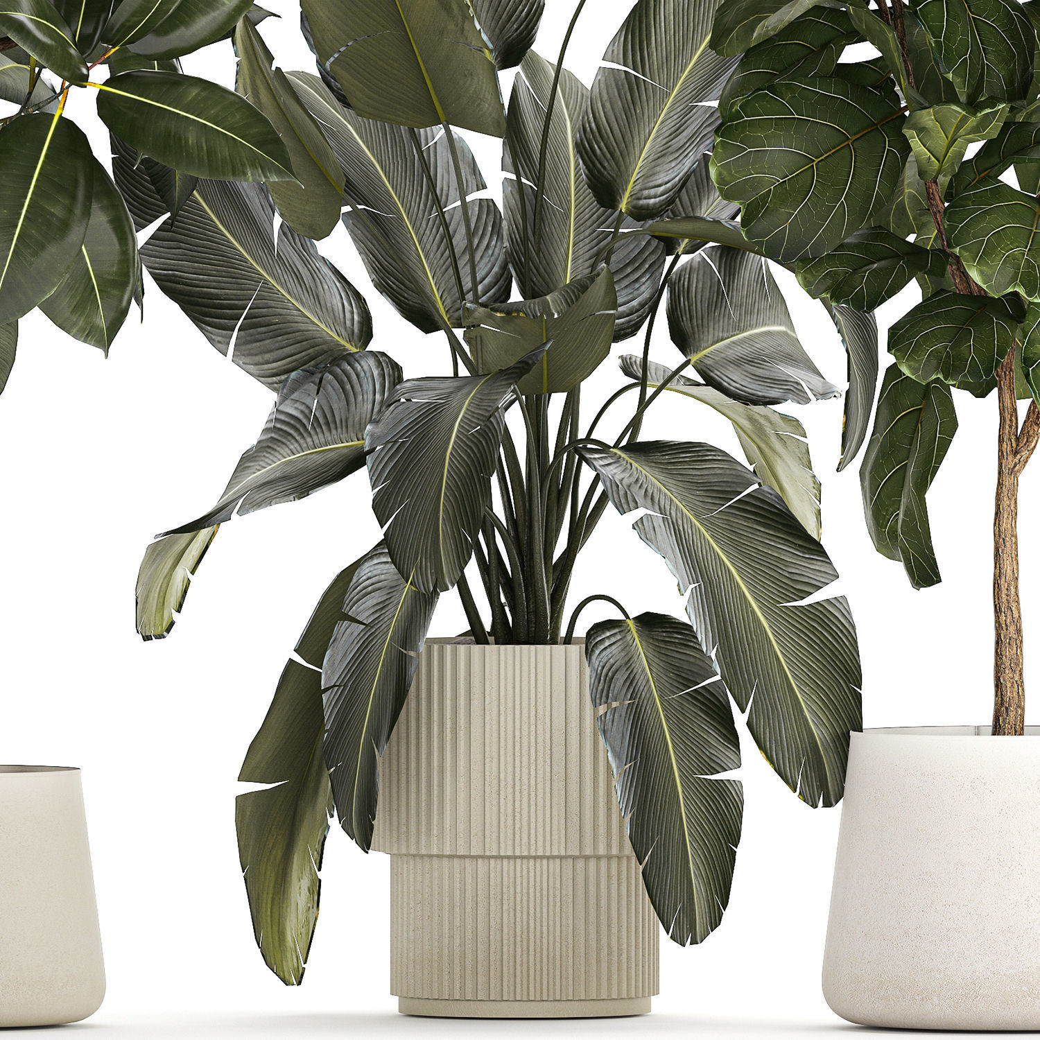 Set of beautiful plants and trees in pots for decoration 1322 3D model_12