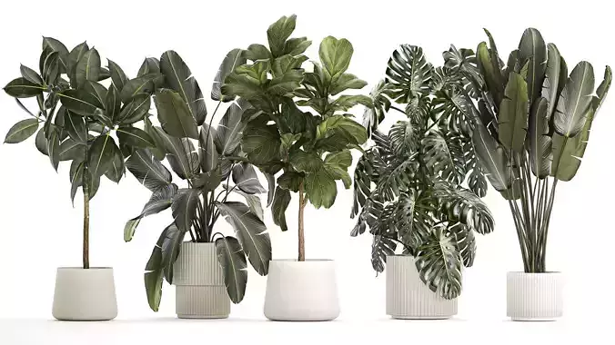 Set of beautiful plants and trees in pots for decoration 1322