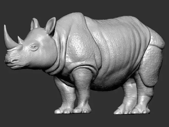 Rhinoceros model