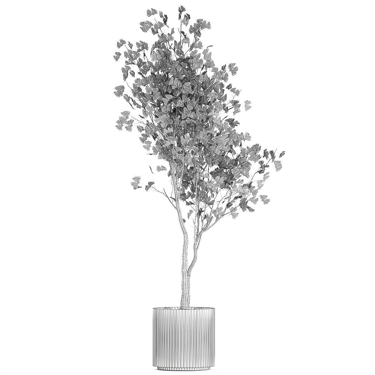 Beautiful Ginkgo biloba tree in pots for the interior 1333 3D model_12