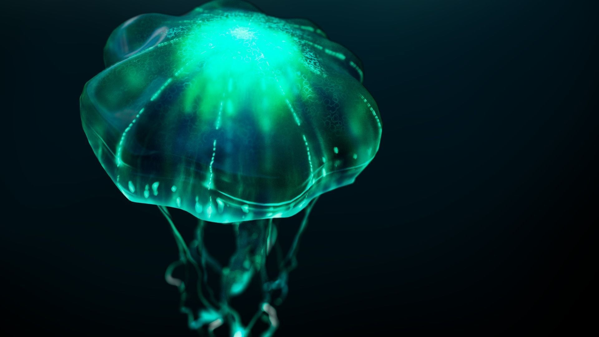Animated Bioluminescent Jellyfish set up in Octane AND Redshift 3D model_4