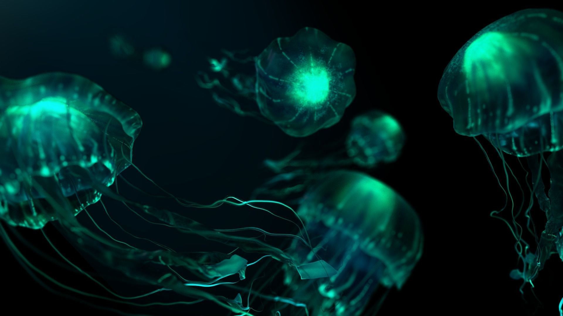 Animated Bioluminescent Jellyfish set up in Octane AND Redshift 3D model_3