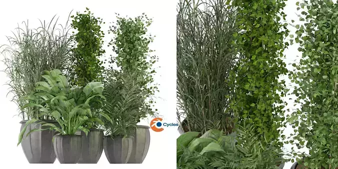 Collection plant vol 231 - blender model  3D model