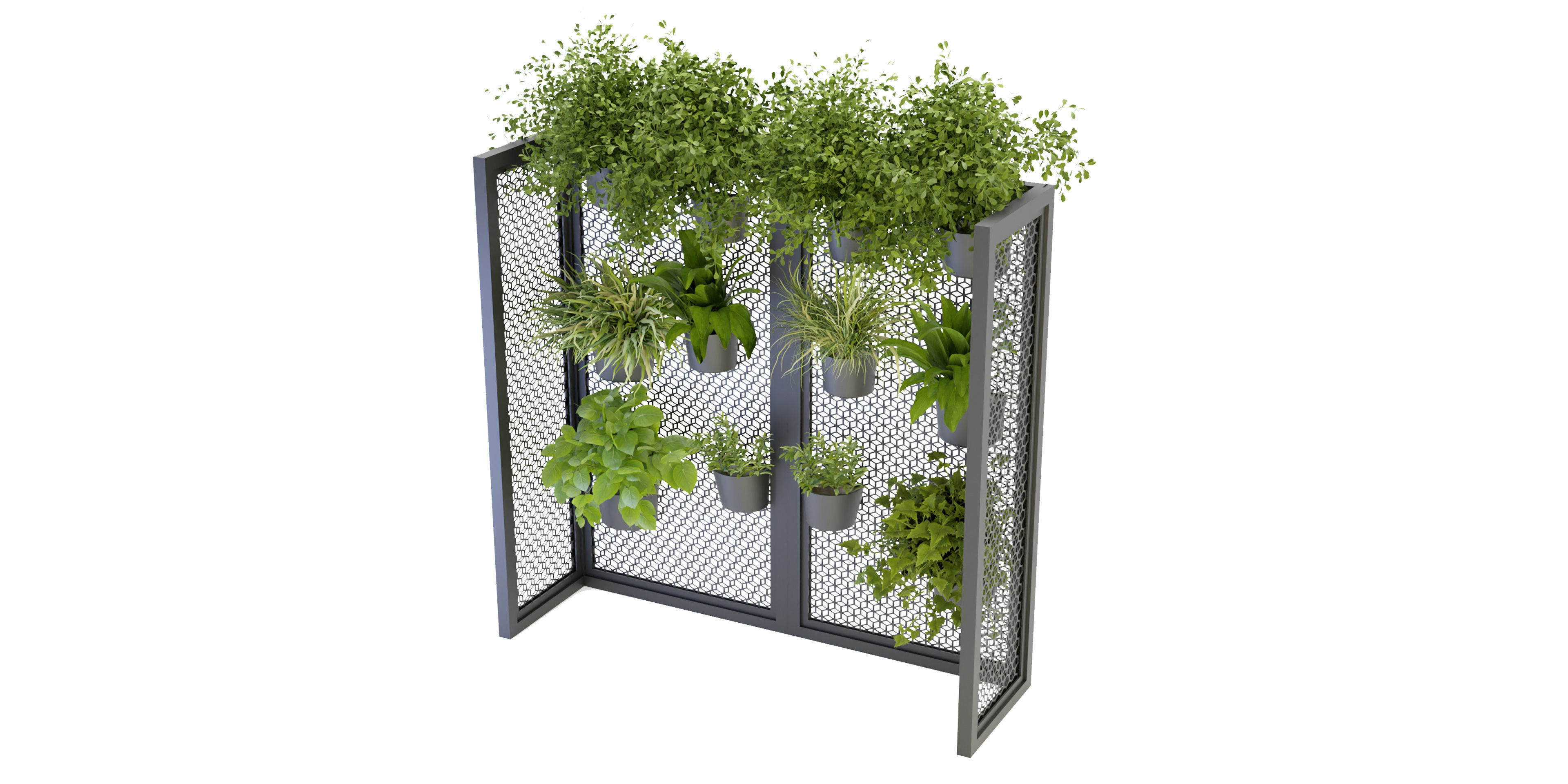 Collection plant vol 235 - blender model  3D model_2