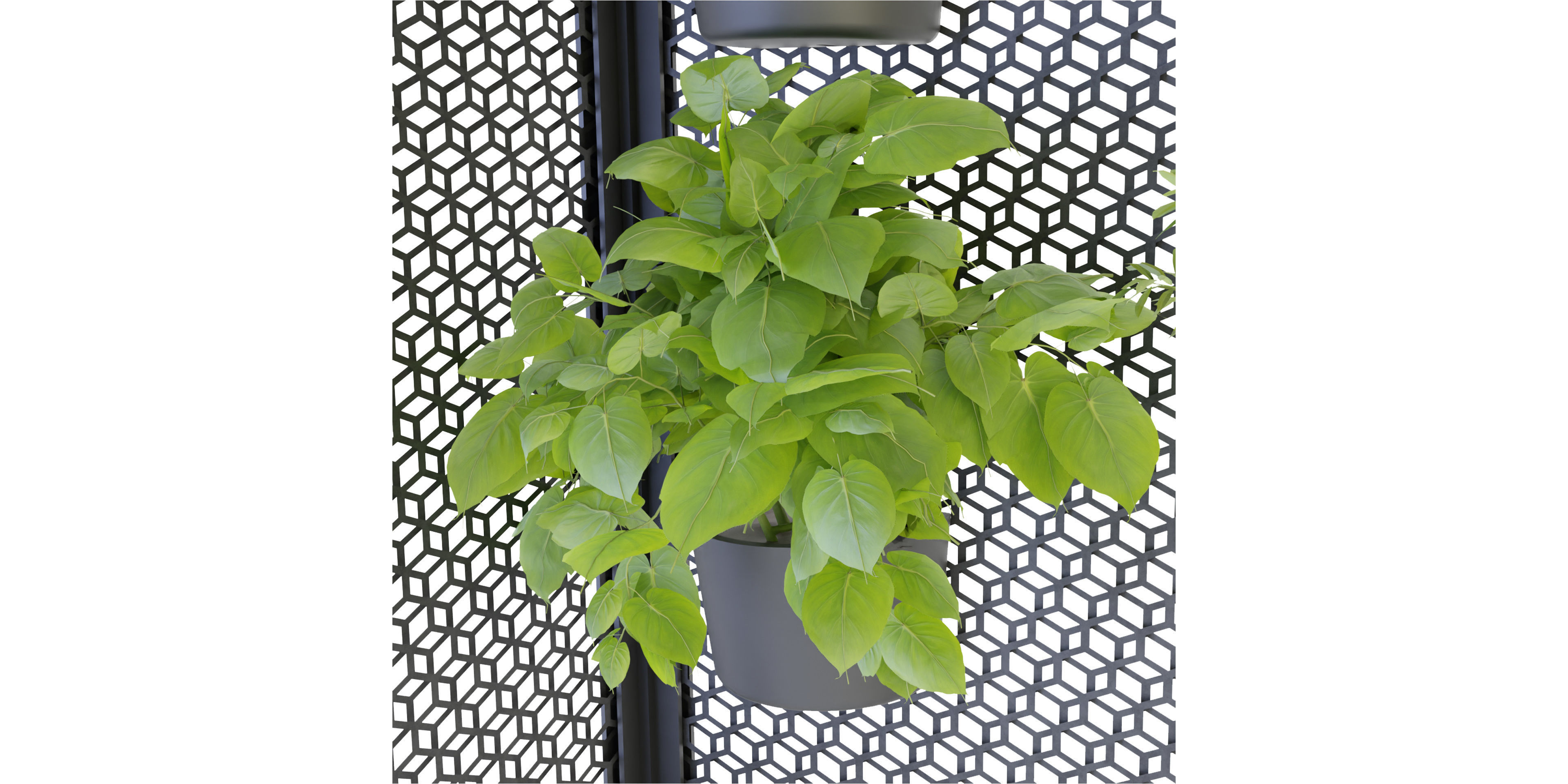 Collection plant vol 235 - blender model  3D model_5