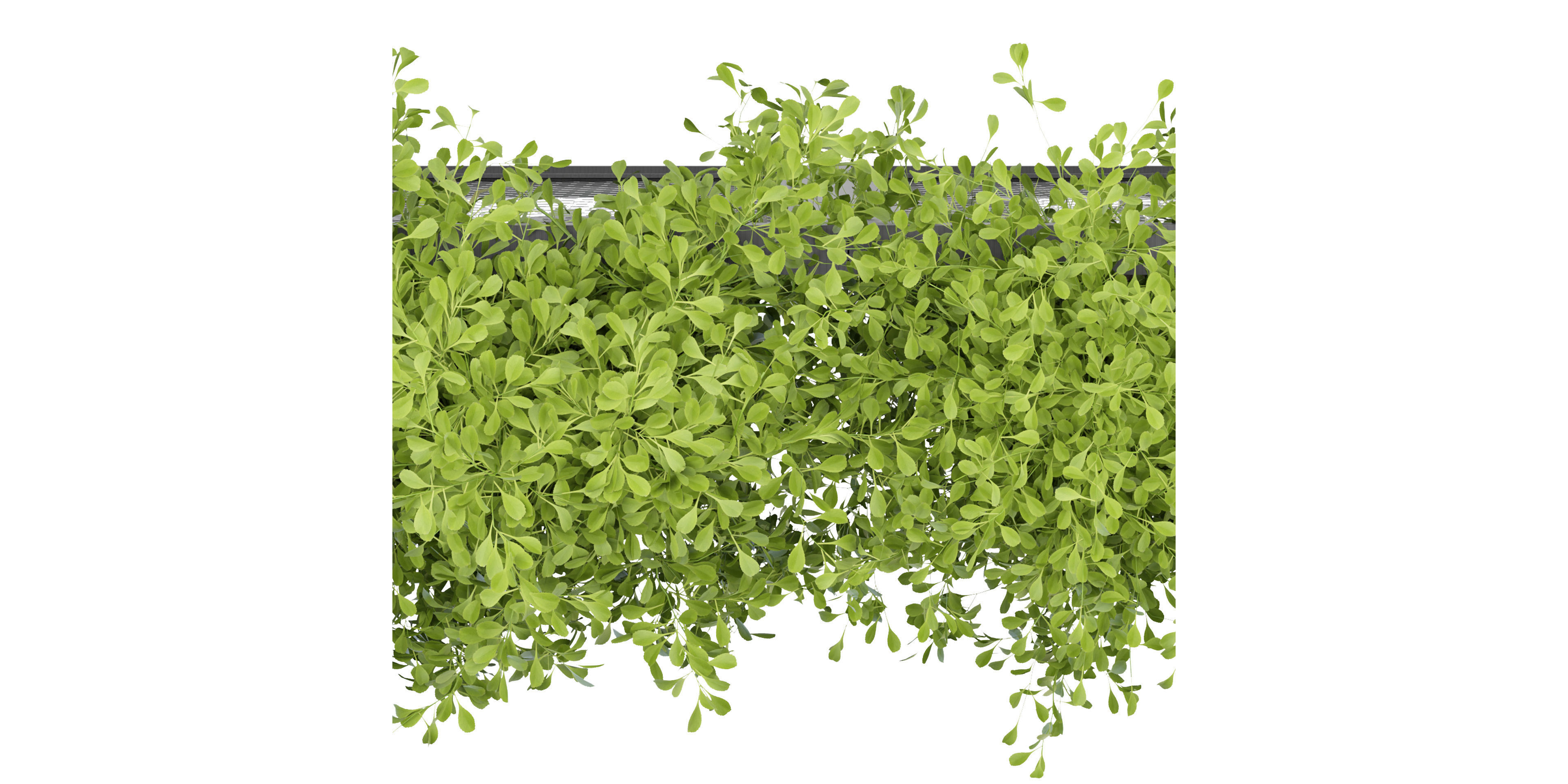 Collection plant vol 235 - blender model  3D model_4