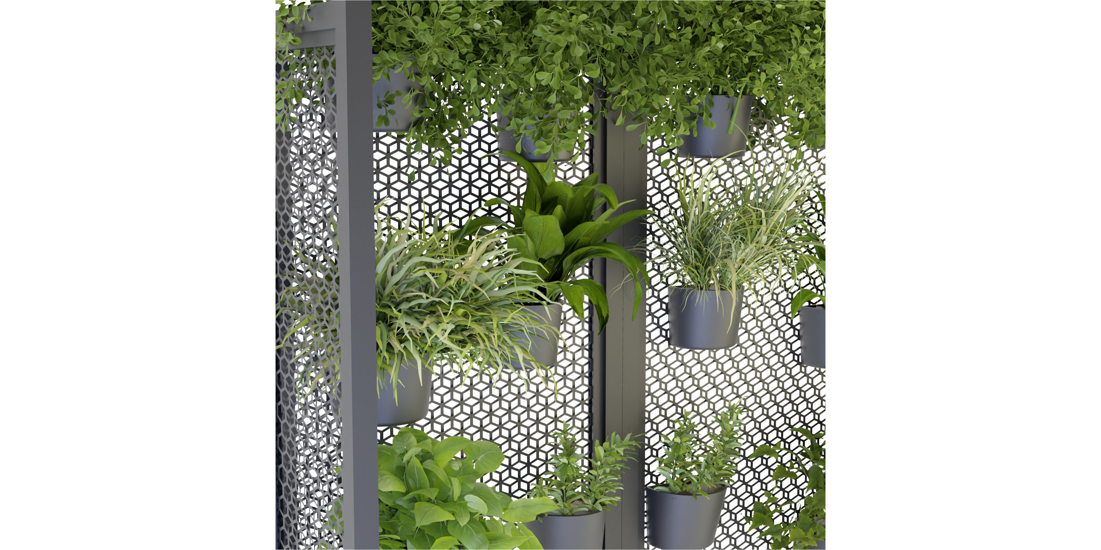 Collection plant vol 235 - blender model  3D model_3