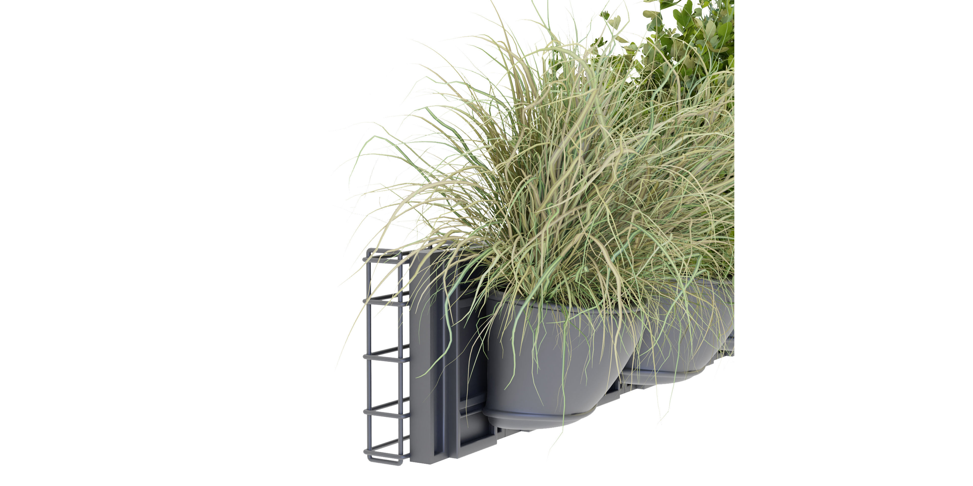 Collection plant vol 238 - blender model  3D model_5