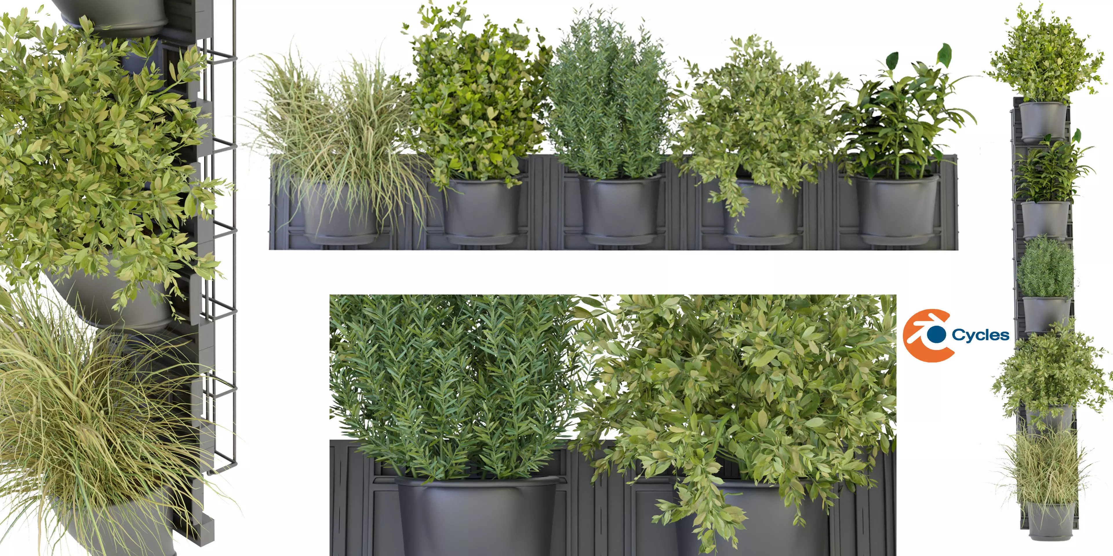 Collection plant vol 238 - blender model  3D model_0