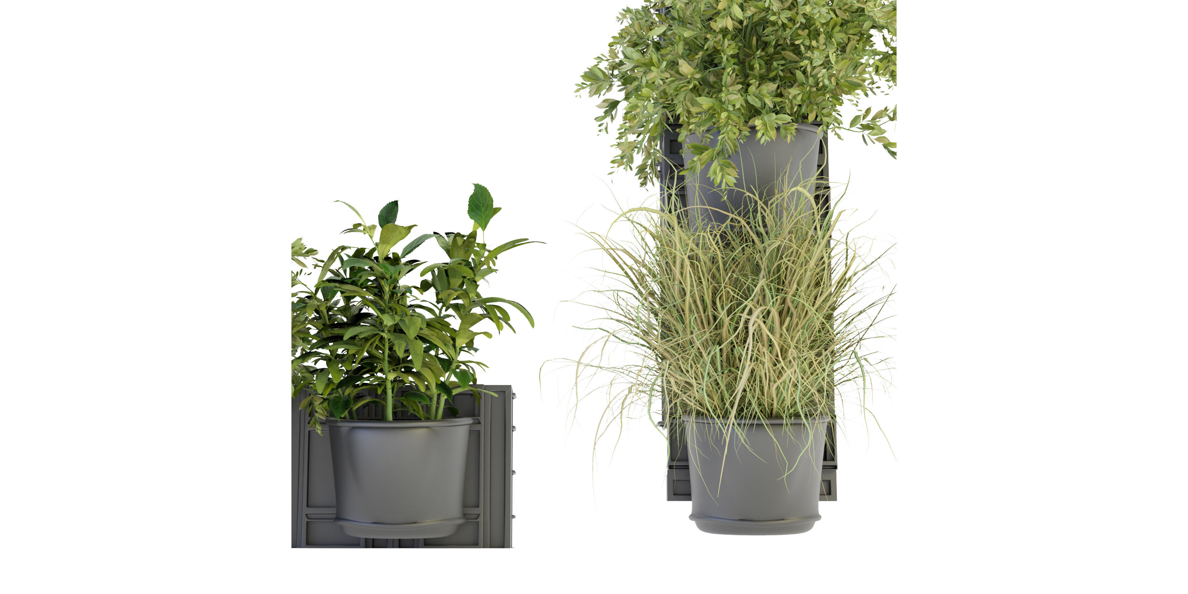 Collection plant vol 238 - blender model  3D model_3