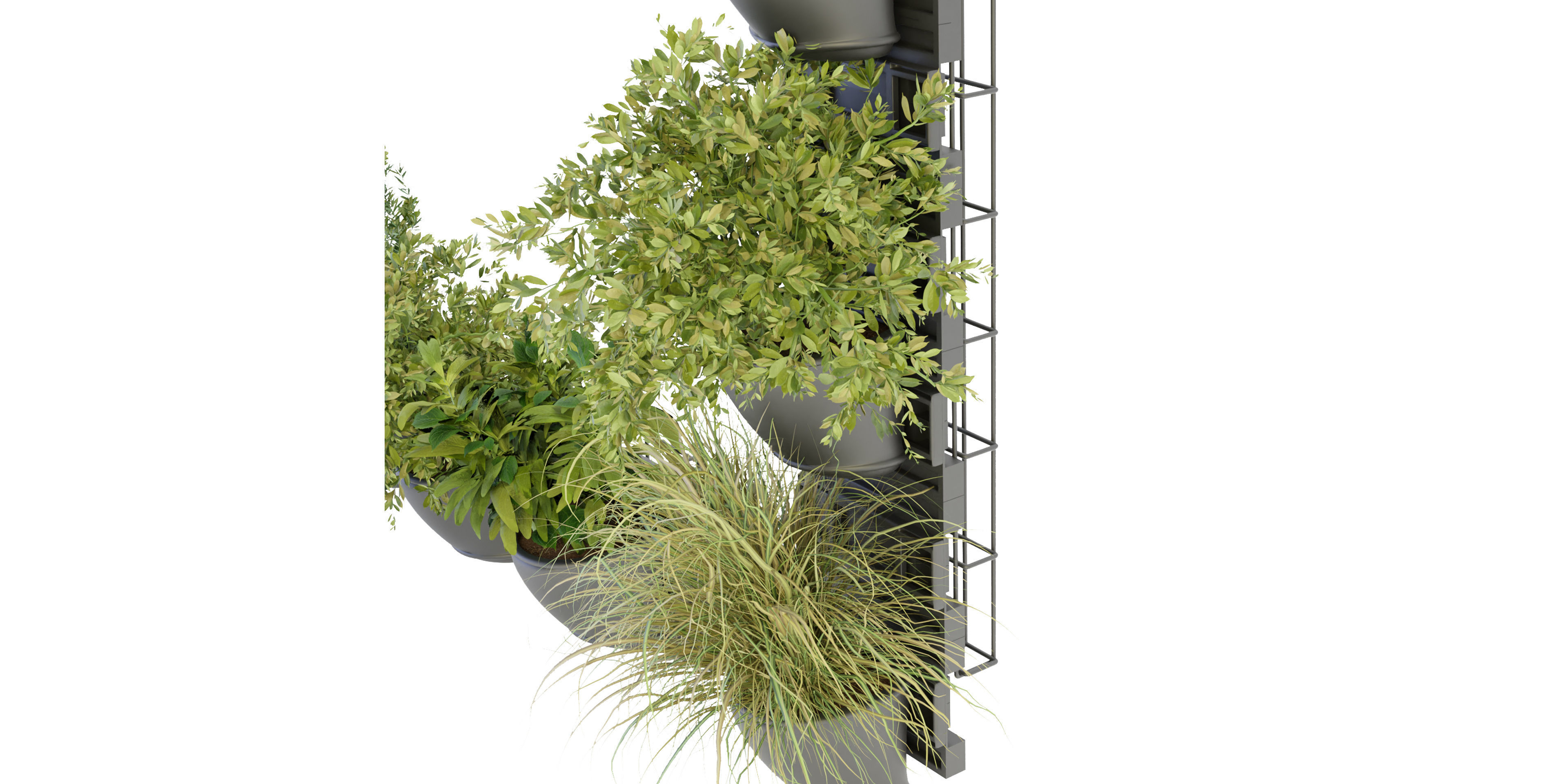 Collection plant vol 238 - blender model  3D model_4