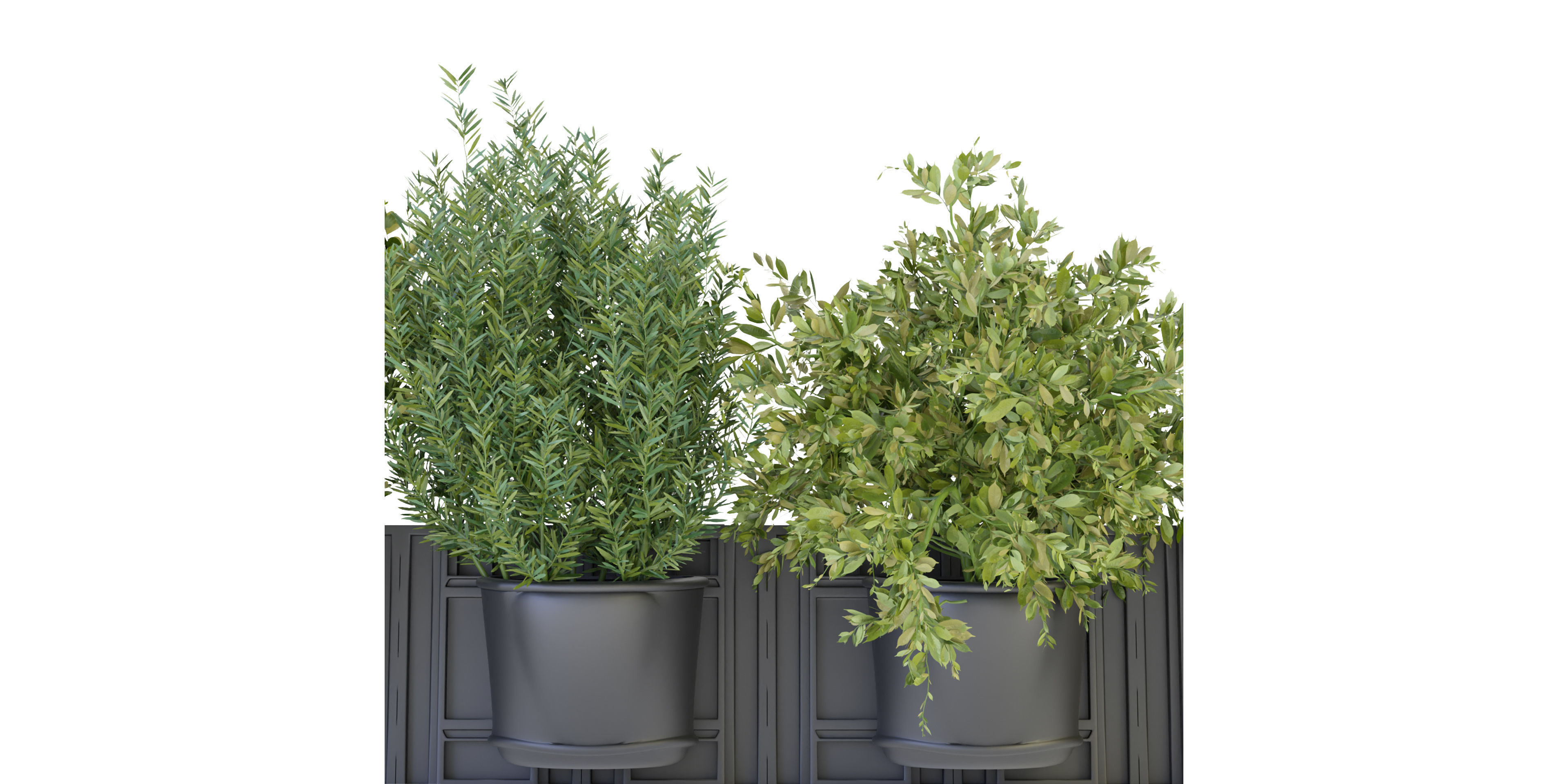 Collection plant vol 238 - blender model  3D model_2