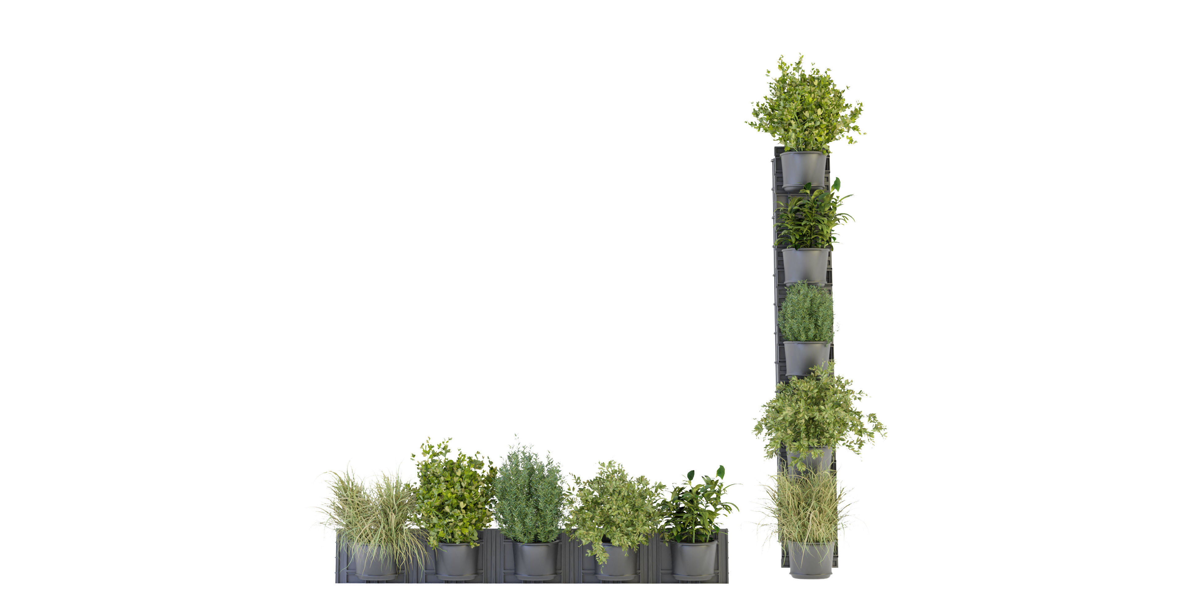 Collection plant vol 238 - blender model  3D model_1