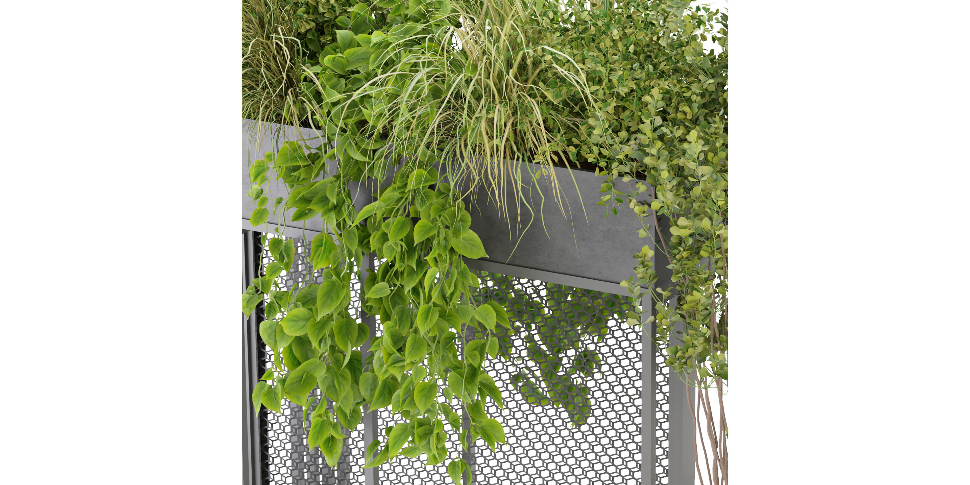 Collection plant vol 239 - blender model  3D model_3