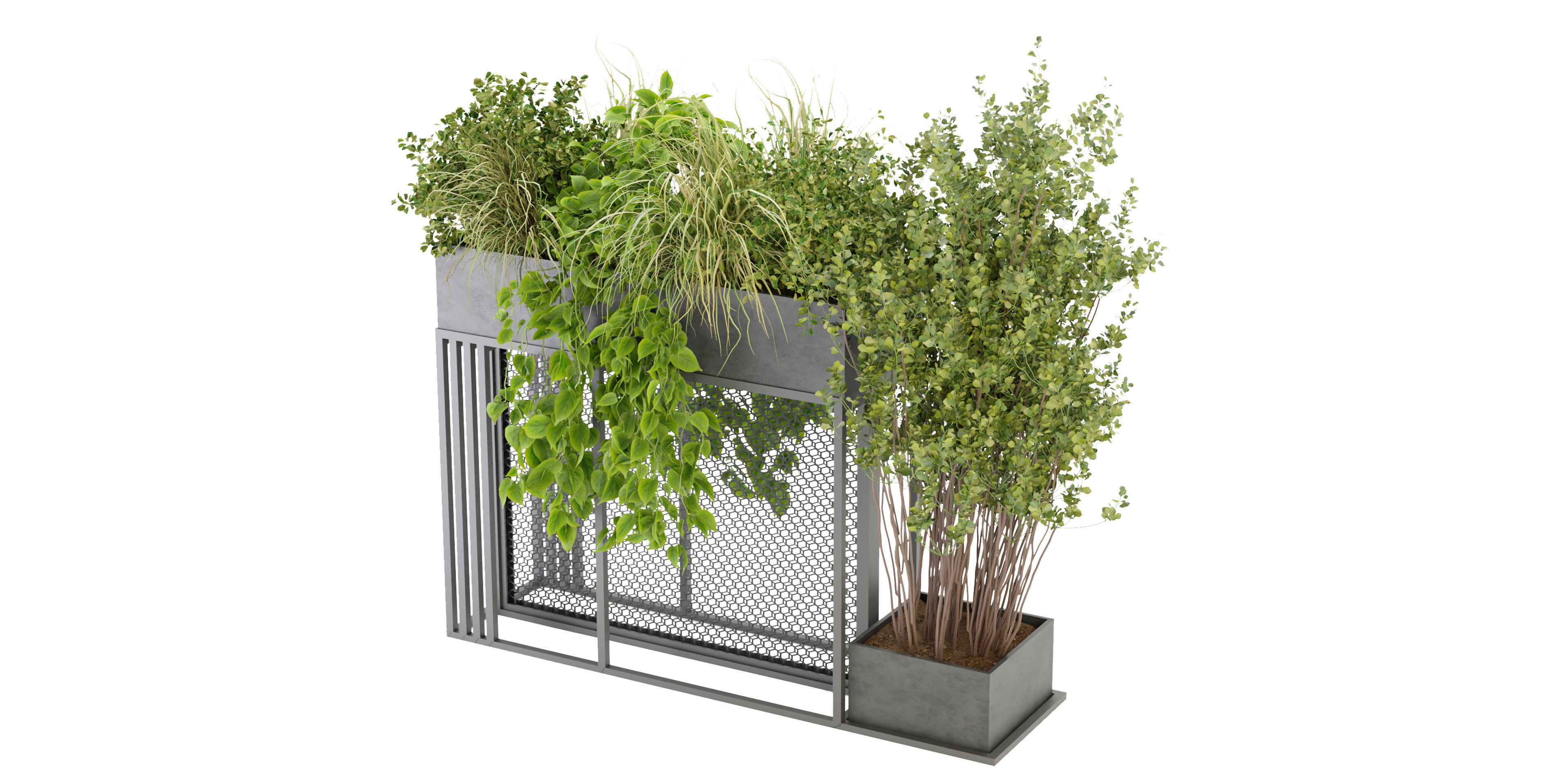 Collection plant vol 239 - blender model  3D model_2