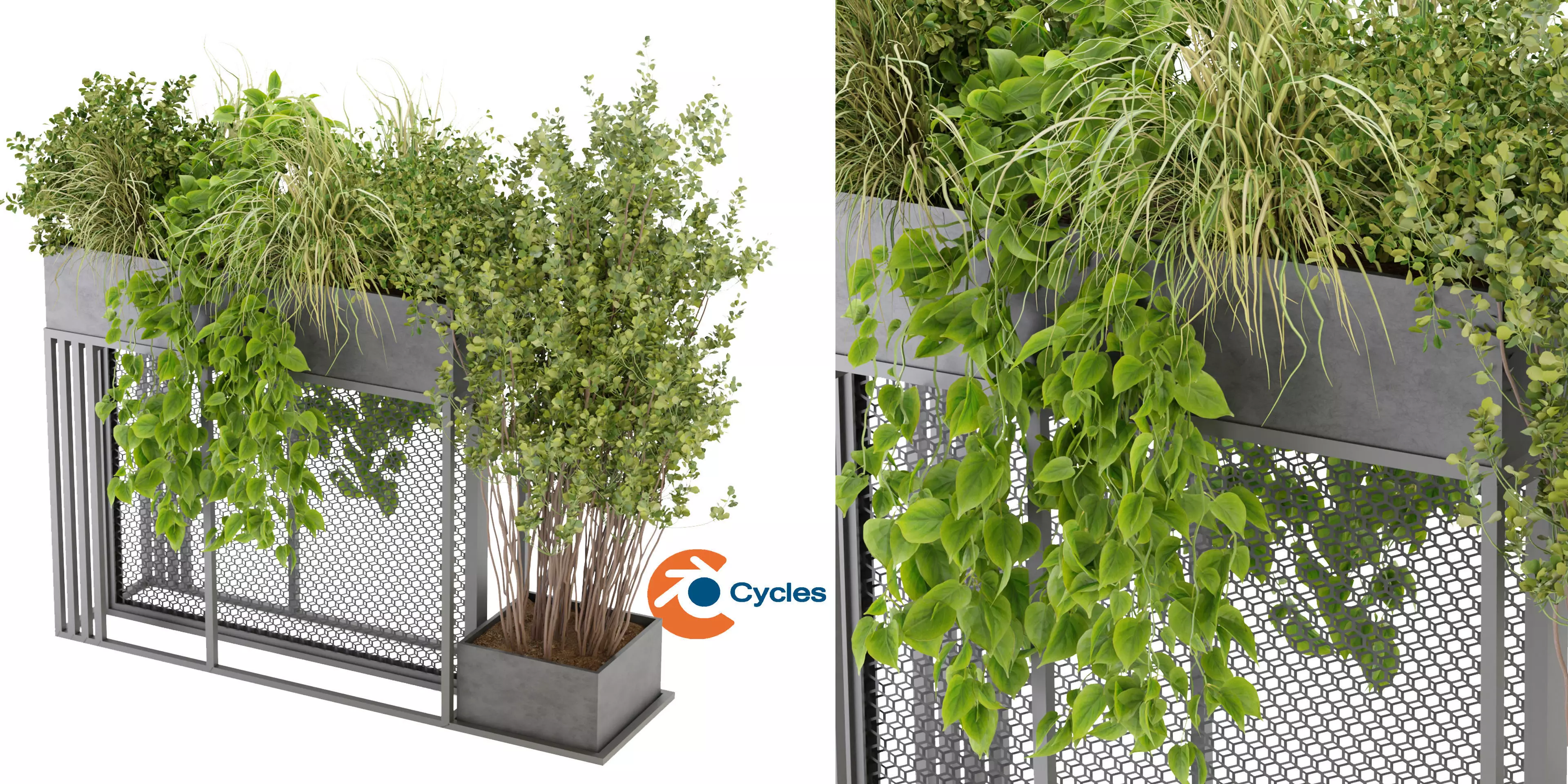 Collection plant vol 239 - blender model  3D model_0