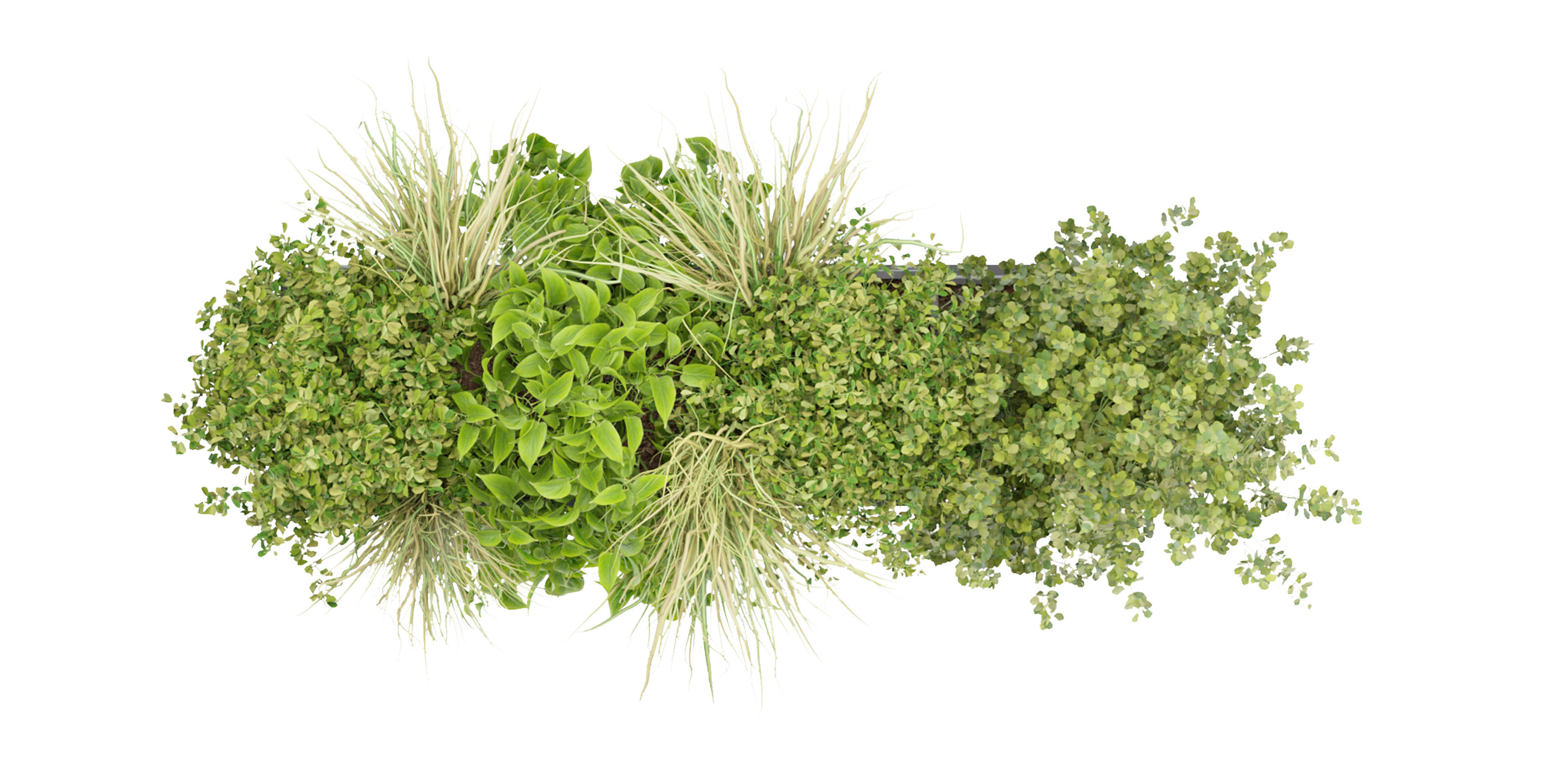 Collection plant vol 239 - blender model  3D model_5