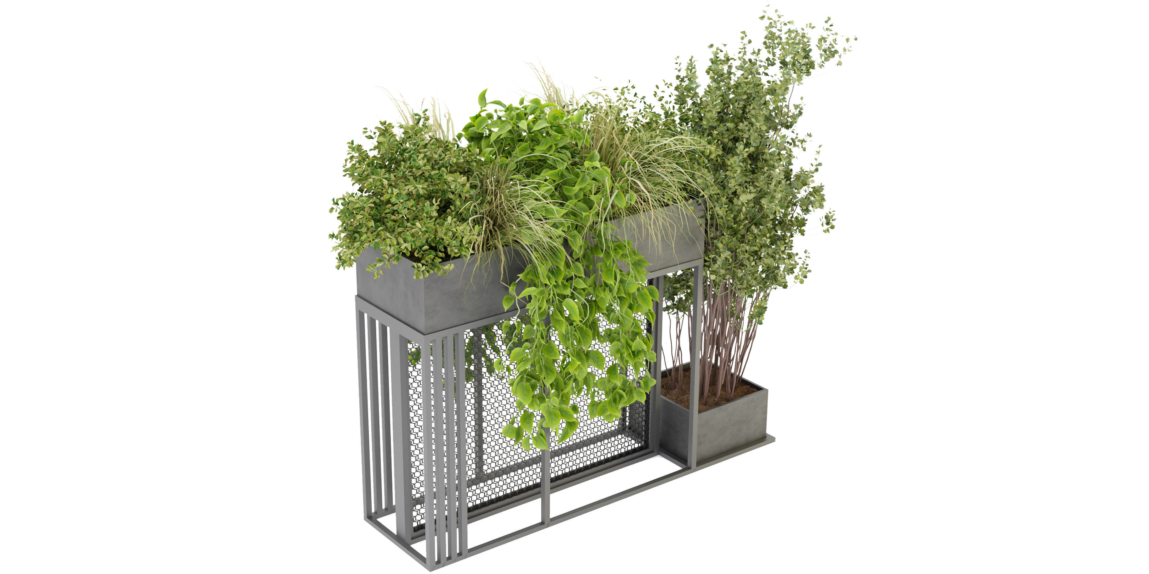 Collection plant vol 239 - blender model  3D model_4