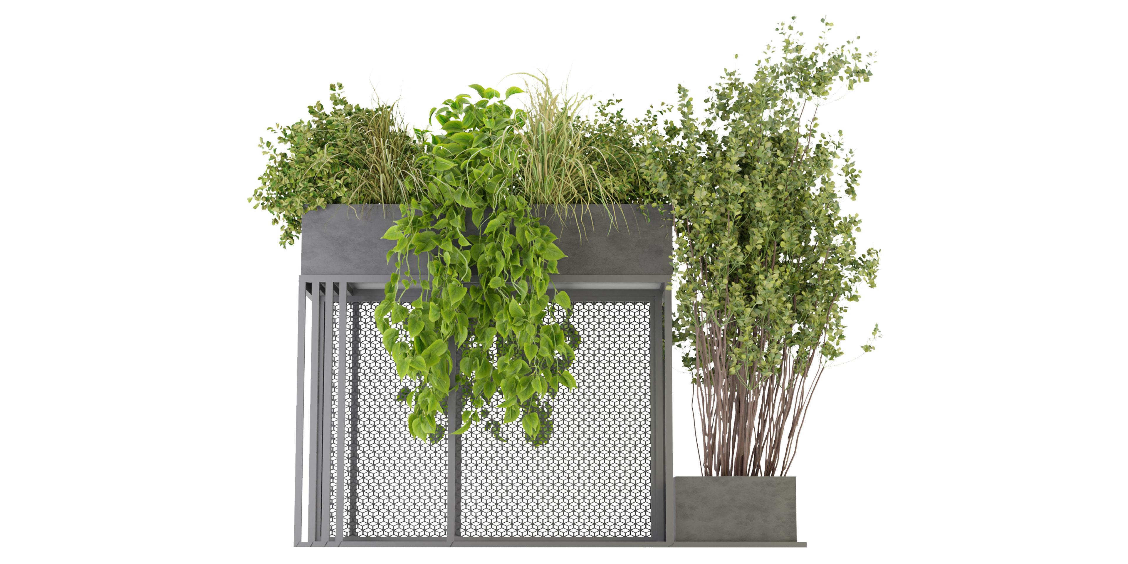 Collection plant vol 239 - blender model  3D model_1