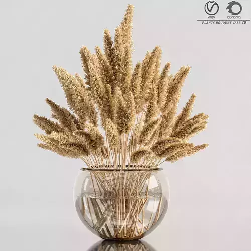 plants bouquet vase 20