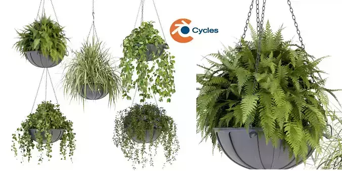 Collection plant vol 240 - blender model 