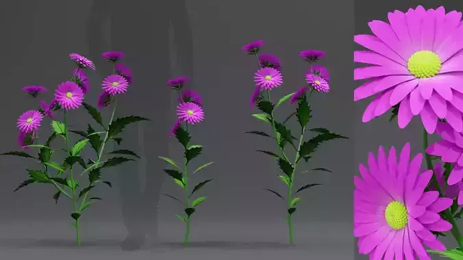 3d Flower Plant 3D model