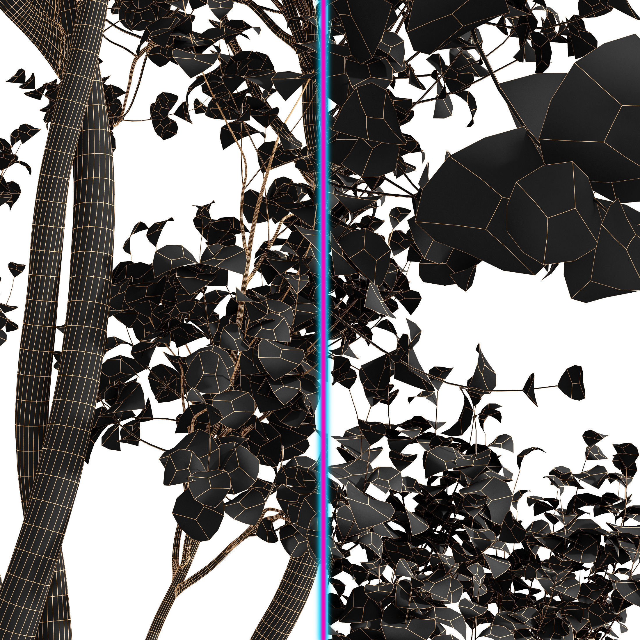 Acer Saccharinum Summer-Fall 3D model_6