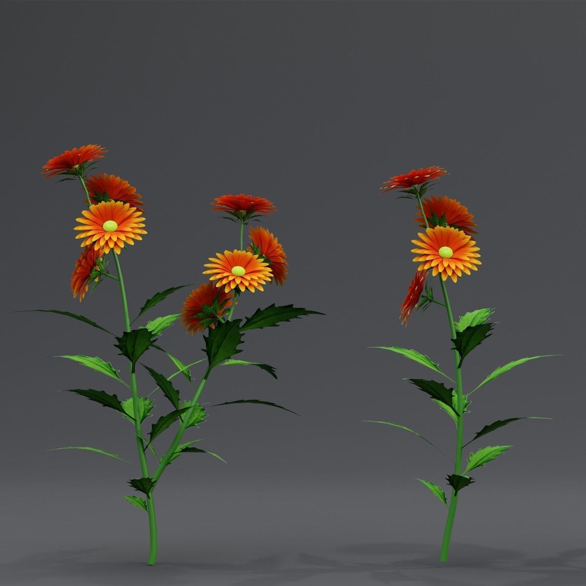 3d Flower Plant 3D model_5
