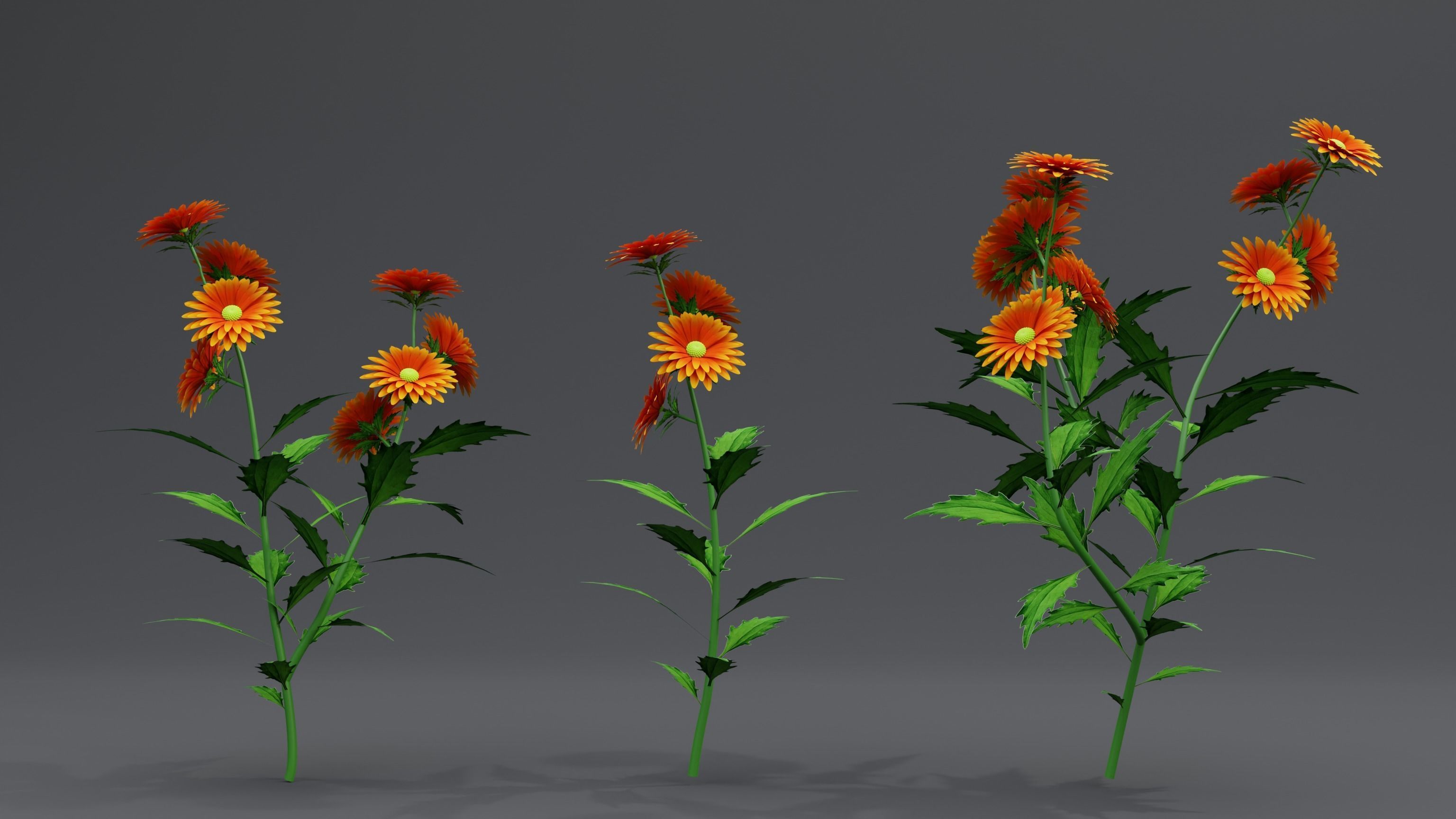 3d Flower Plant 3D model_2