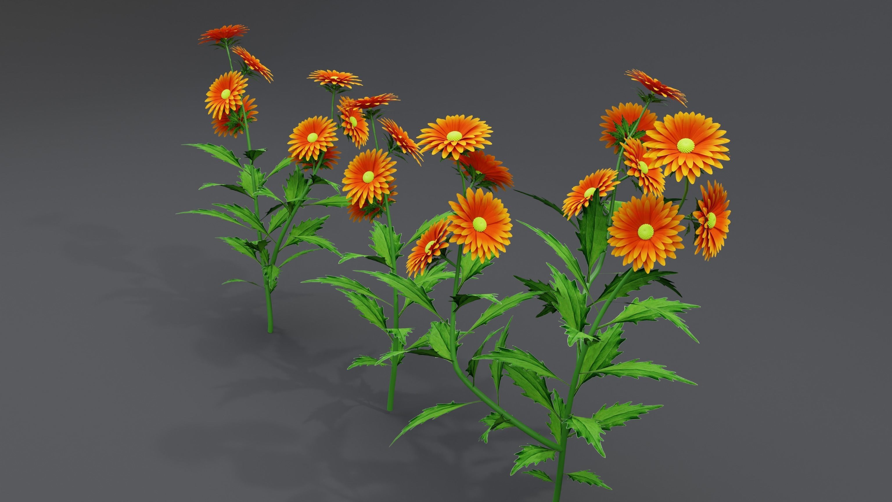 3d Flower Plant 3D model_4