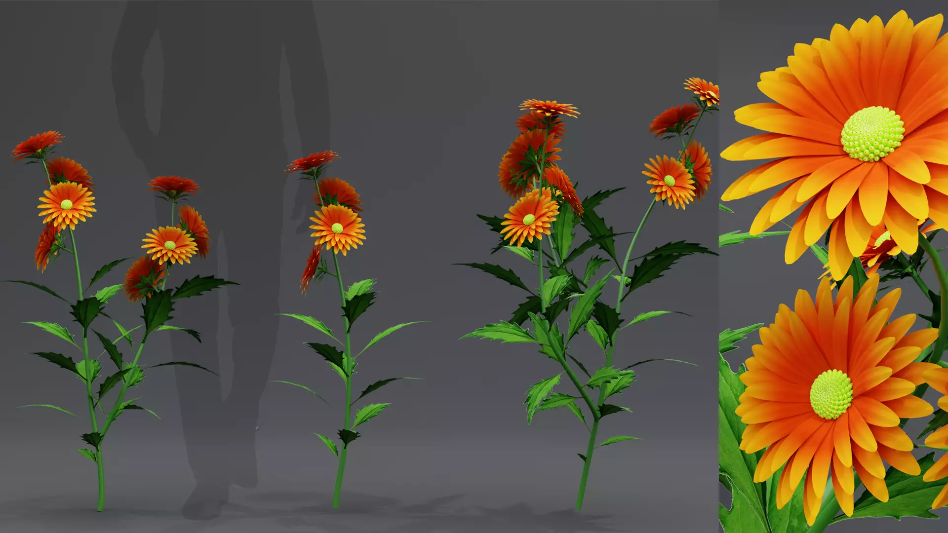3d Flower Plant 3D model_0