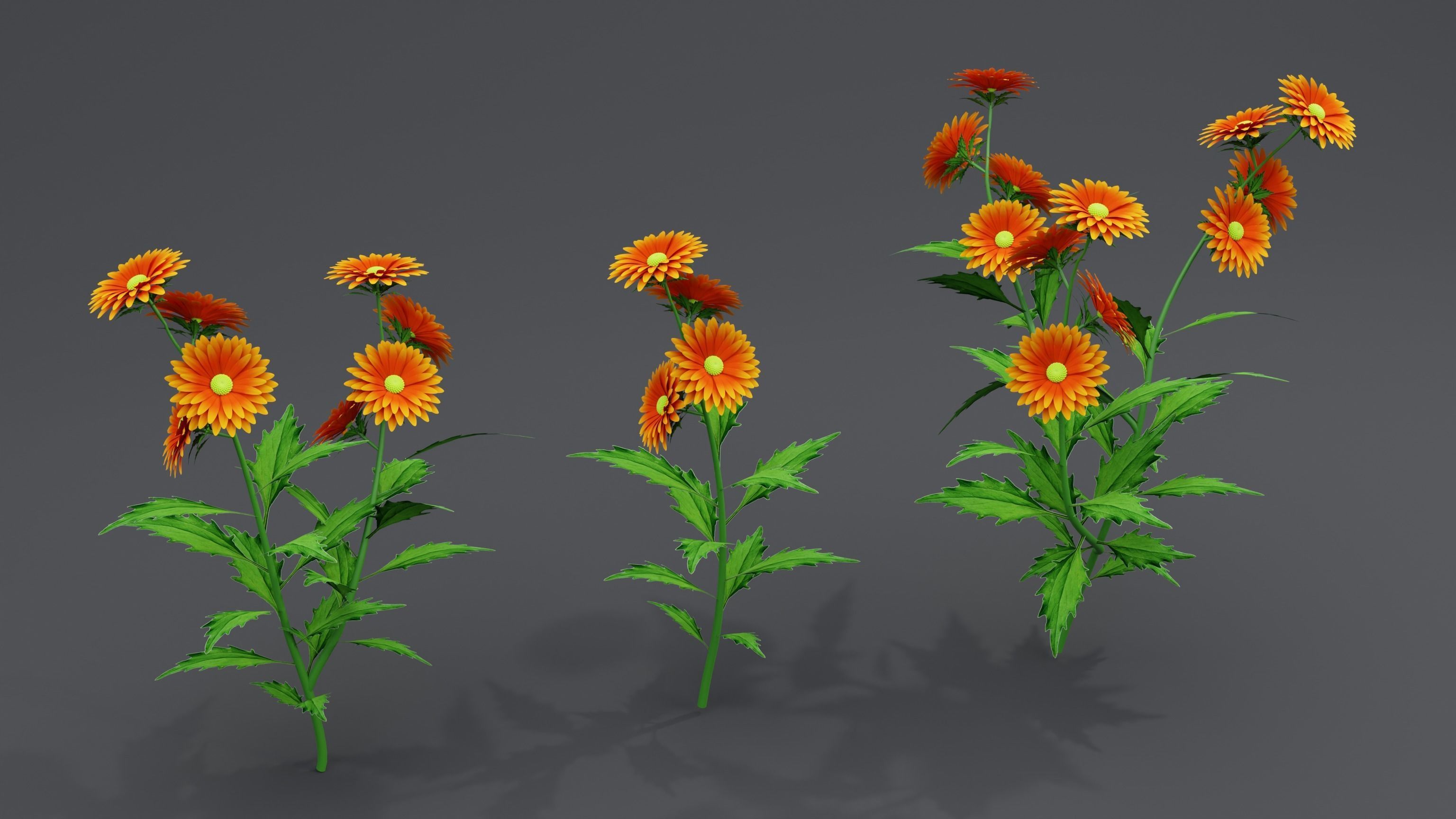 3d Flower Plant 3D model_3