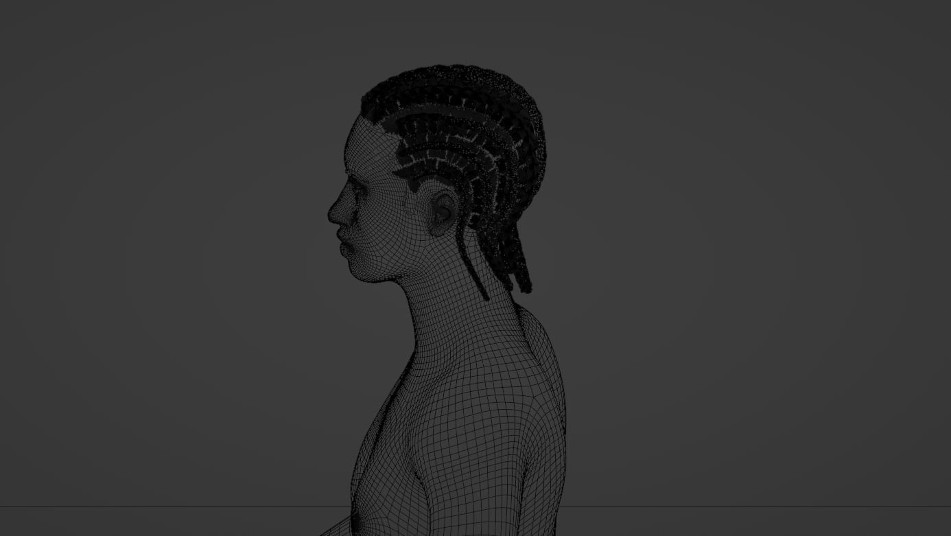 Cornrow Braids 3D model_18
