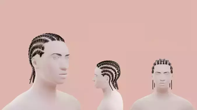 Cornrow Braids 3D model