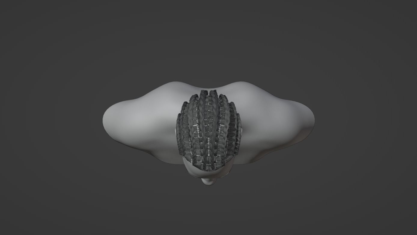 Cornrow Braids 3D model_27