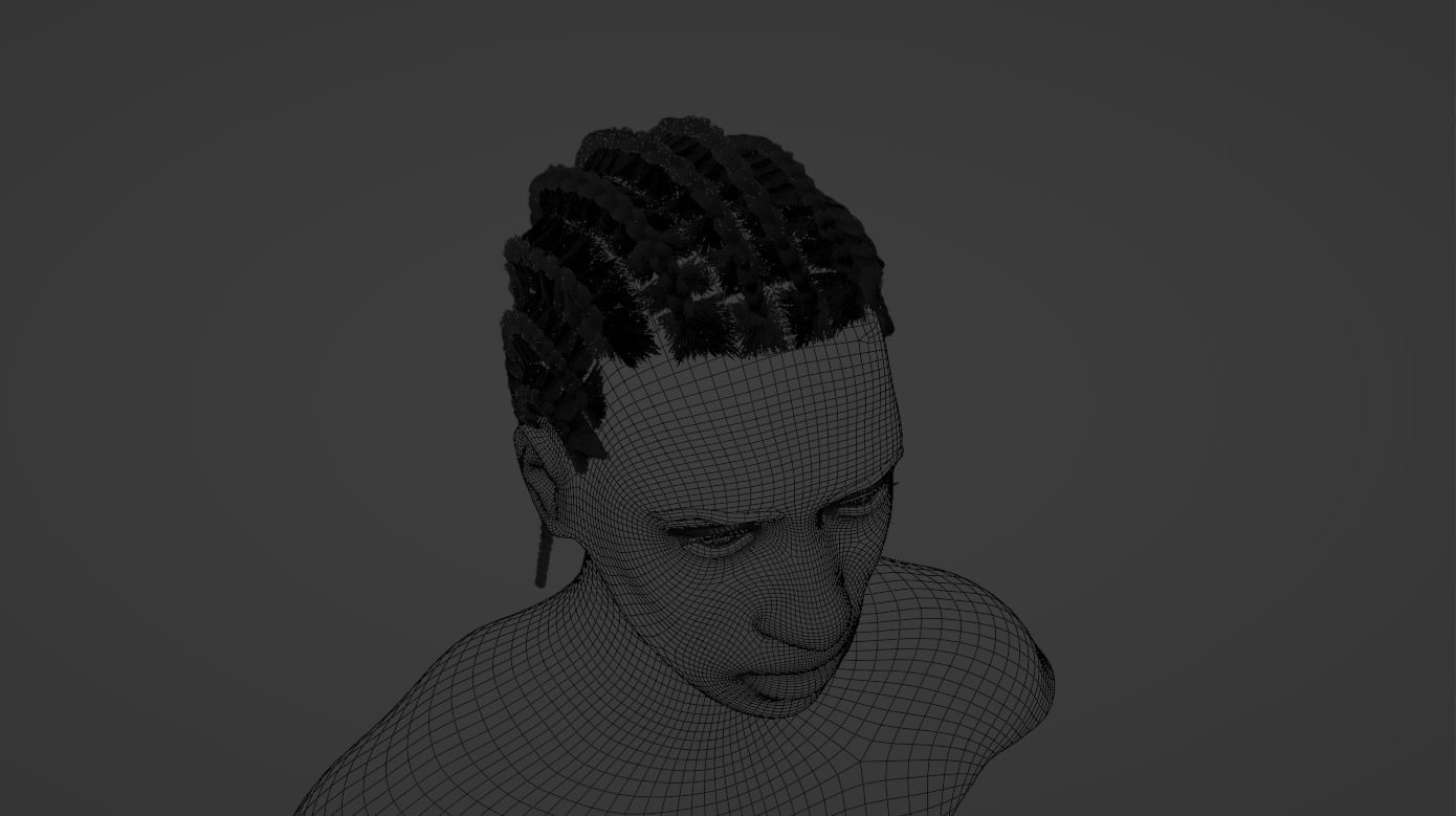 Cornrow Braids 3D model_21