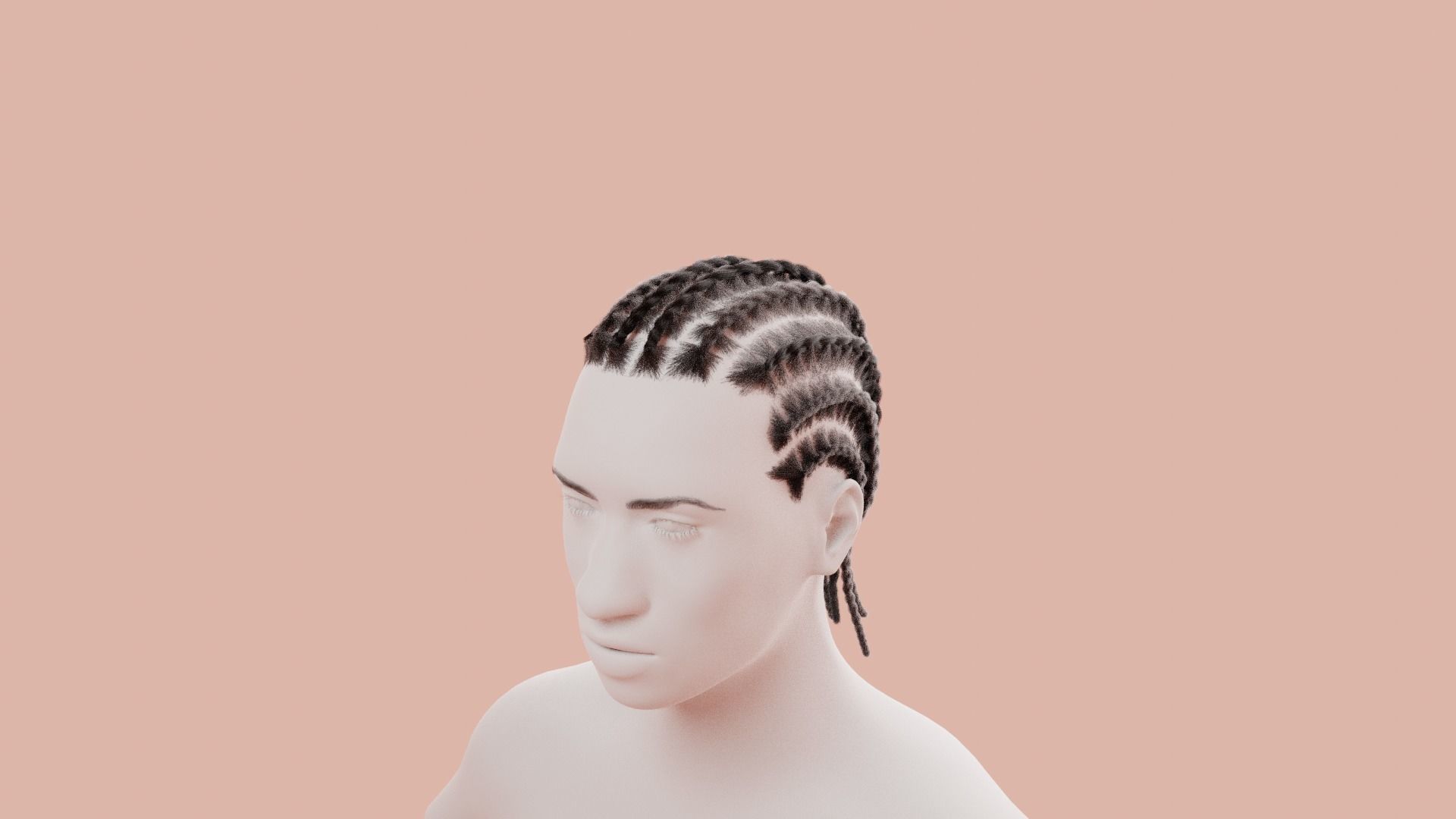 Cornrow Braids 3D model_9