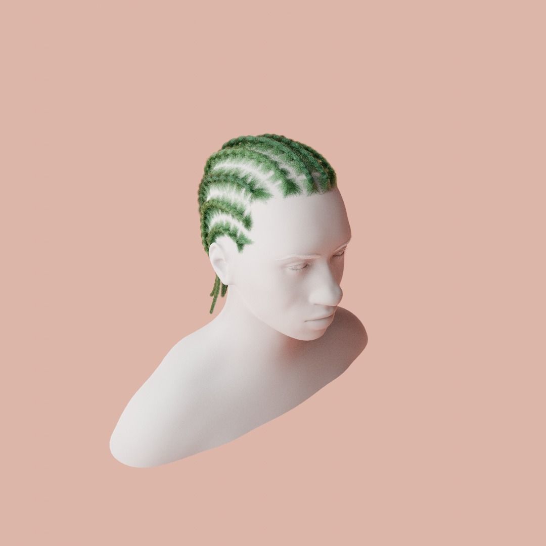 Cornrow Braids 3D model_4
