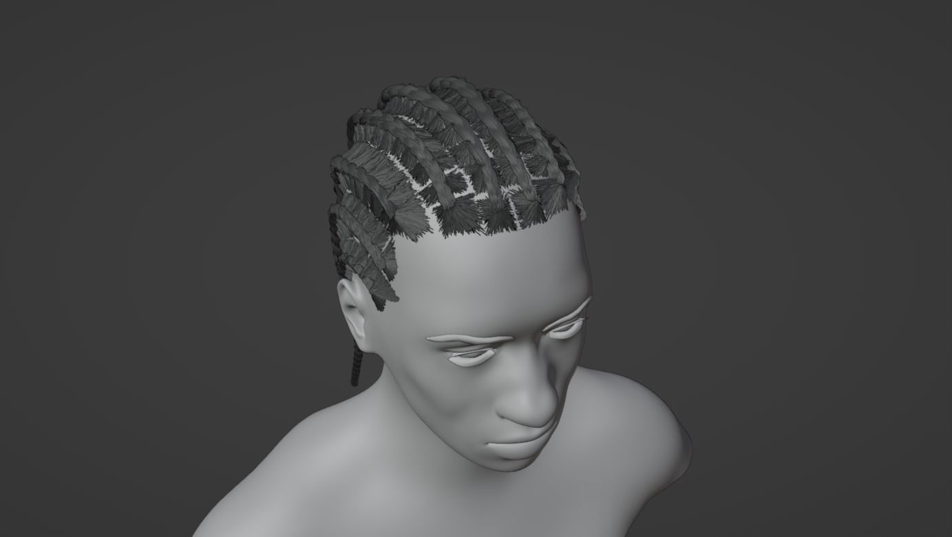 Cornrow Braids 3D model_20