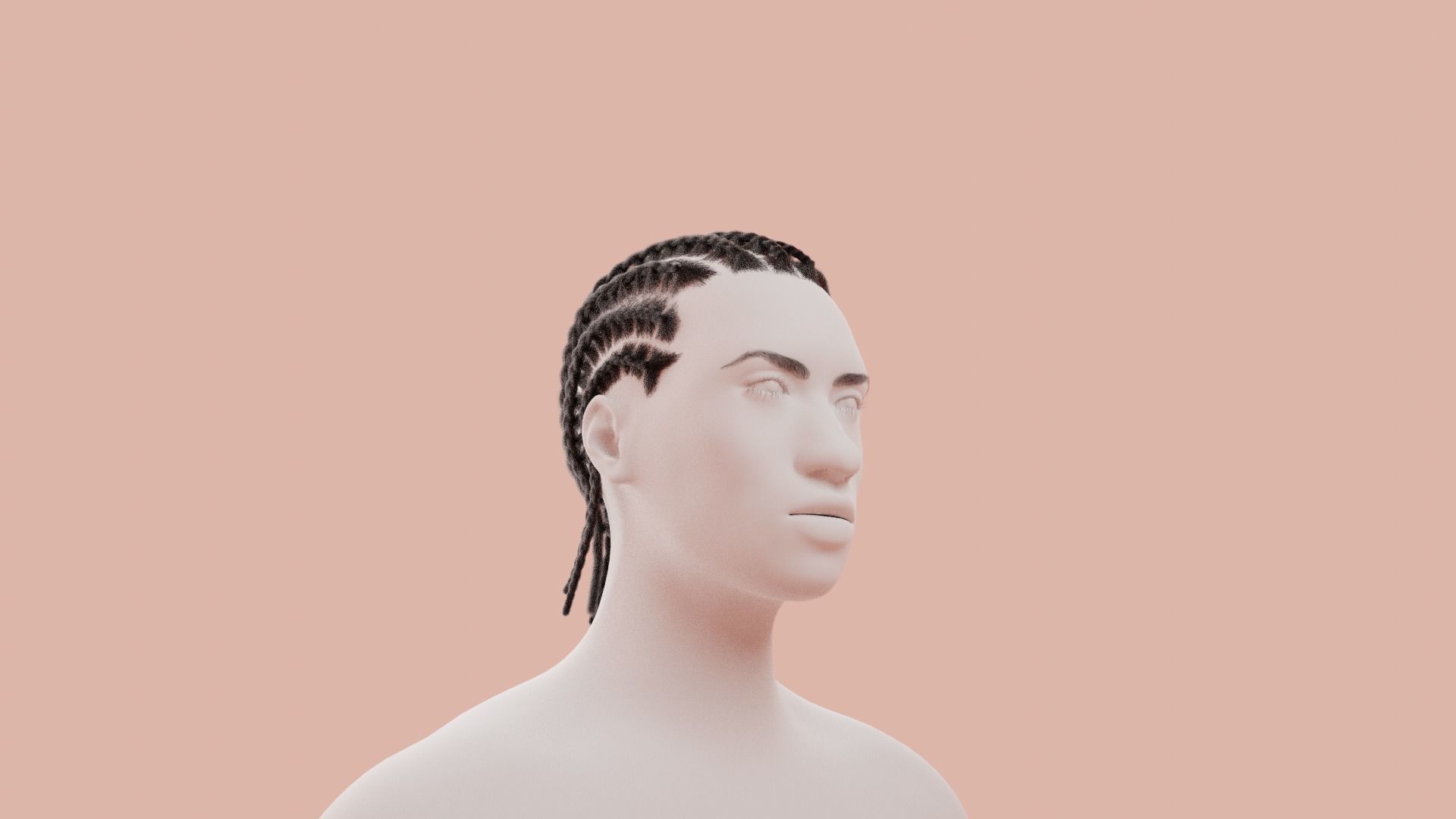 Cornrow Braids 3D model_8
