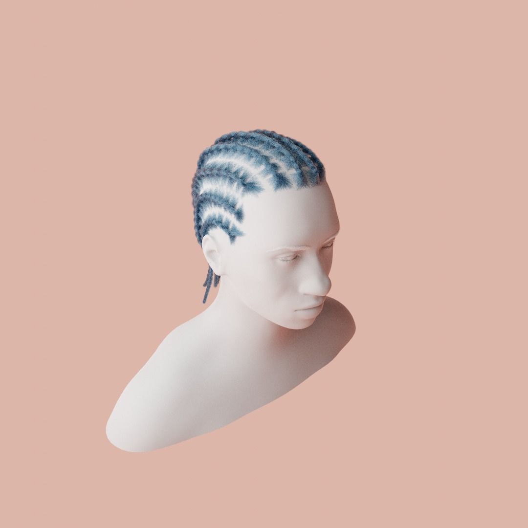 Cornrow Braids 3D model_3