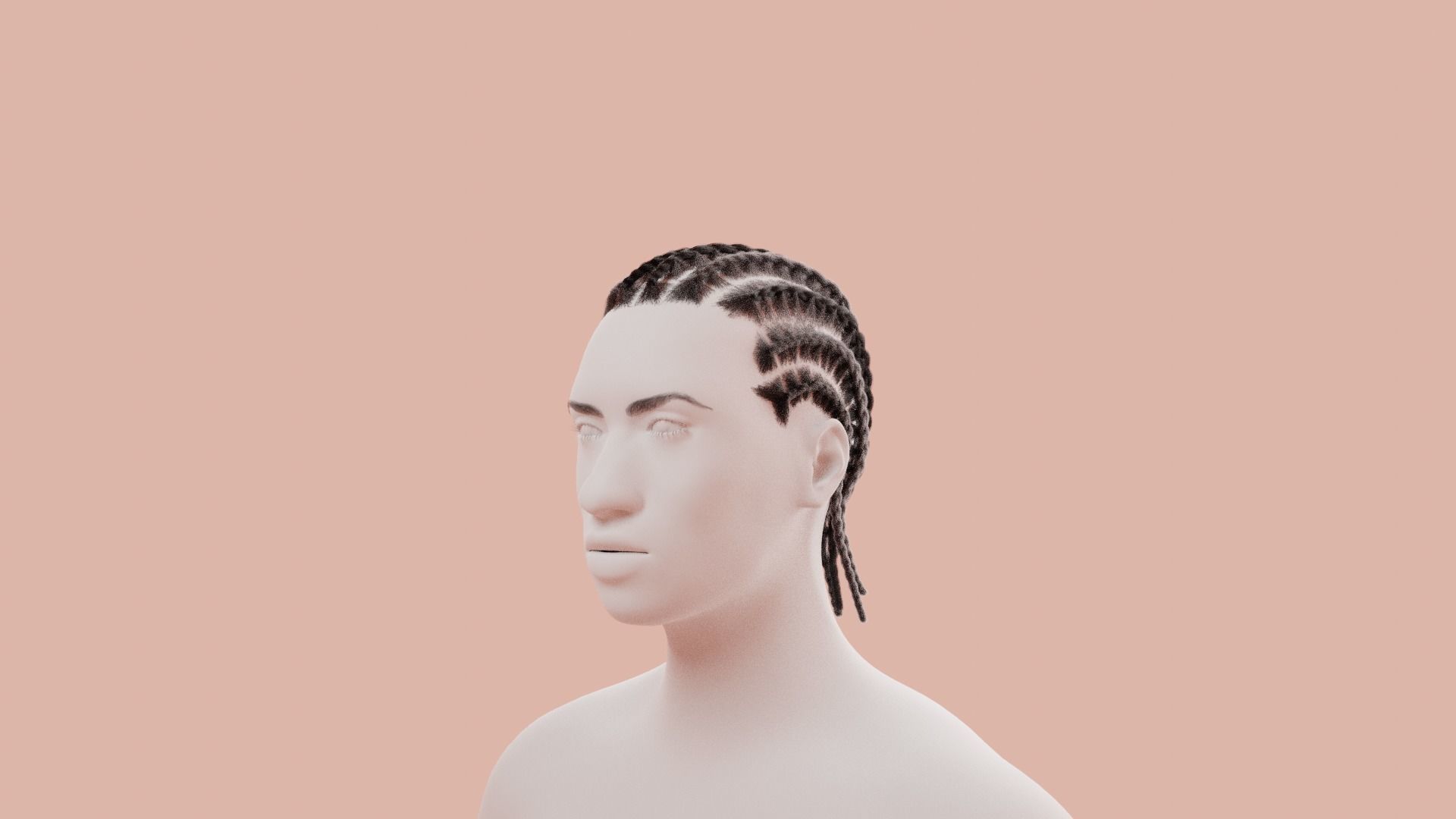Cornrow Braids 3D model_6