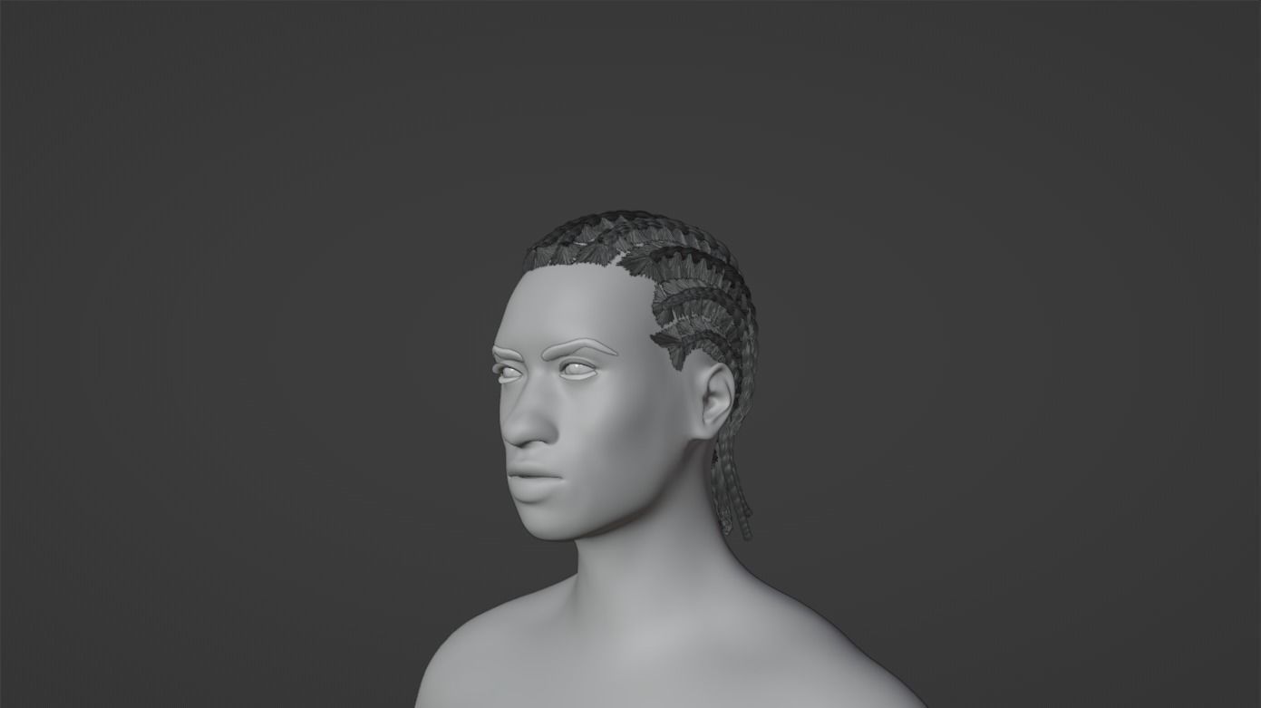 Cornrow Braids 3D model_22