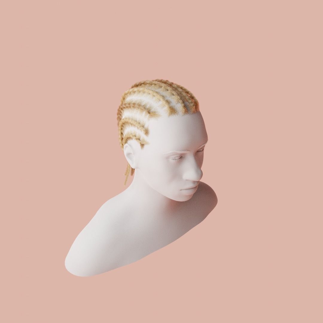 Cornrow Braids 3D model_2