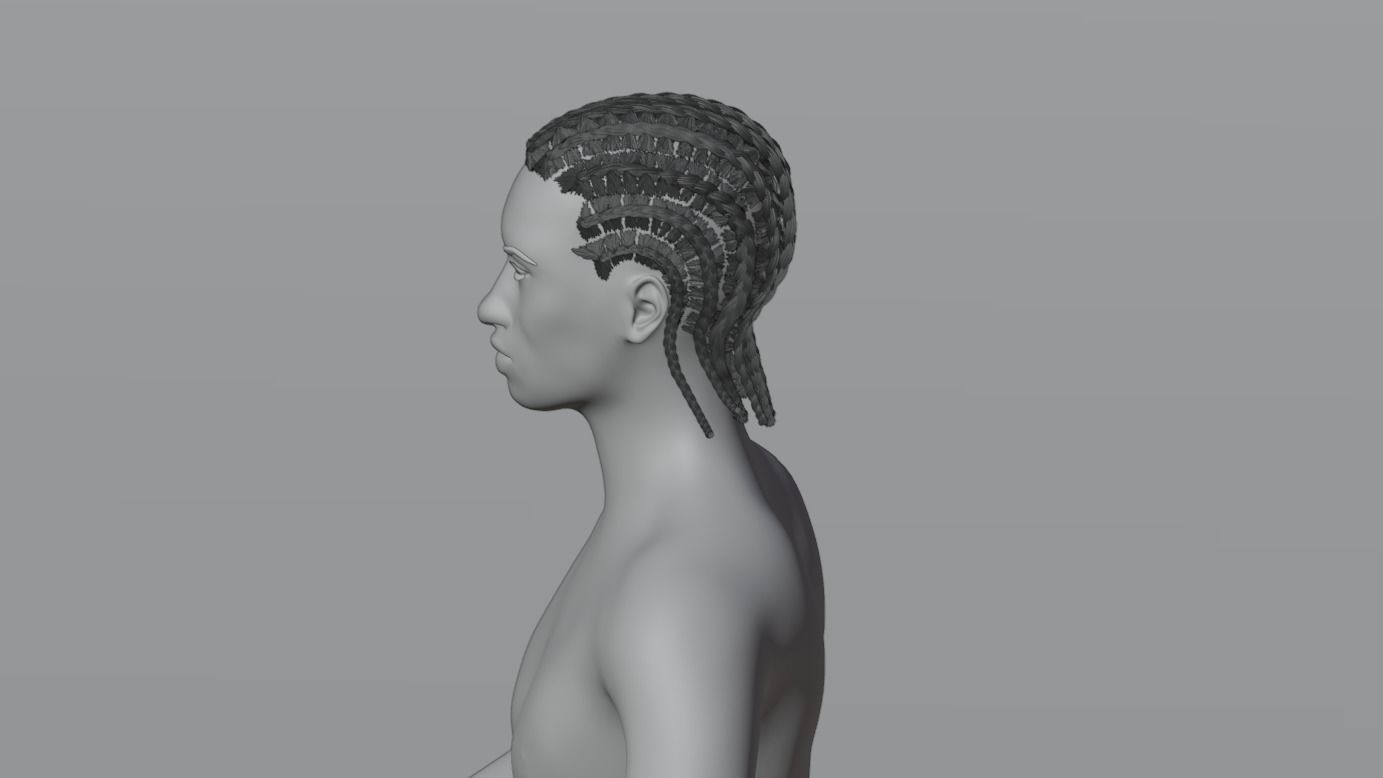 Cornrow Braids 3D model_17