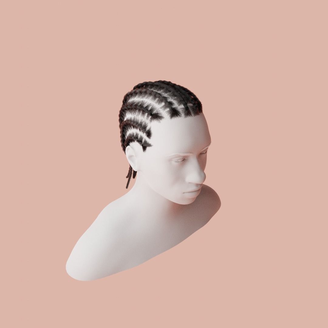 Cornrow Braids 3D model_5