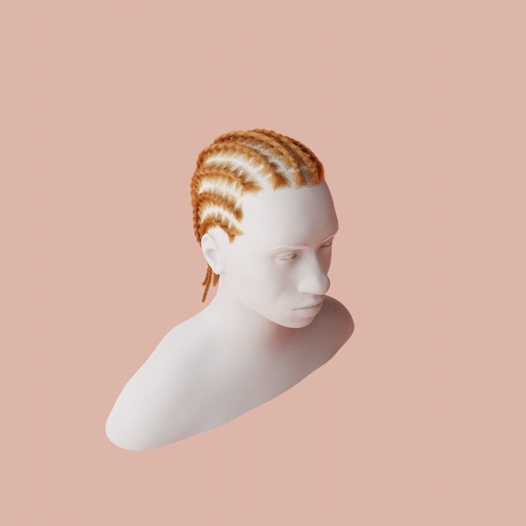 Cornrow Braids 3D model_1