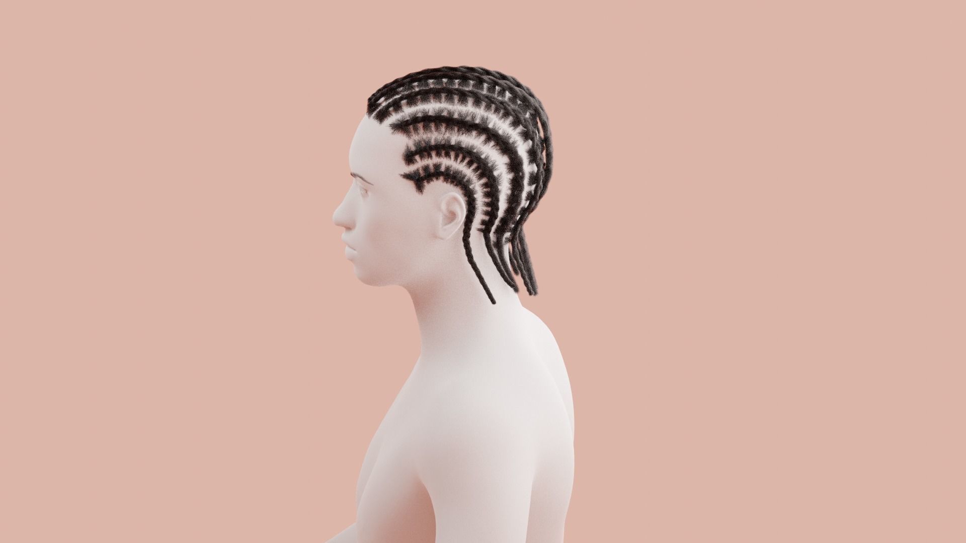 Cornrow Braids 3D model_16