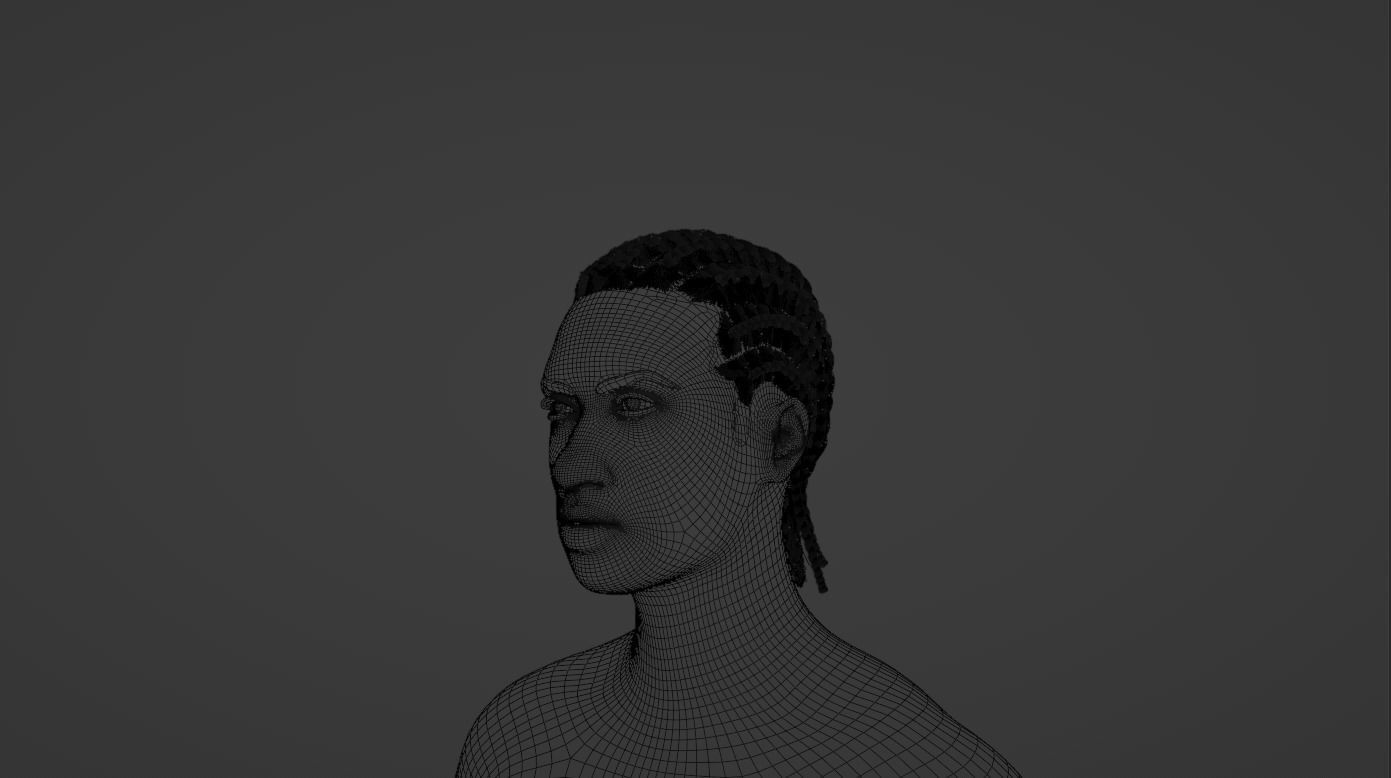 Cornrow Braids 3D model_23