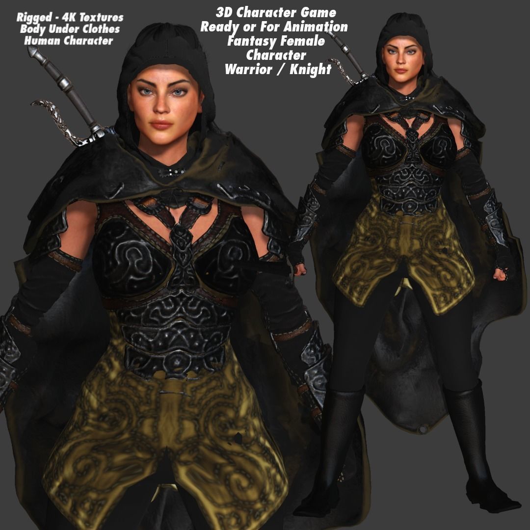 AAA 3D FANTASY FEMALE ASSASSIN  - REALISTIC RIG GAME CHARACTER Low-poly 3D model_1